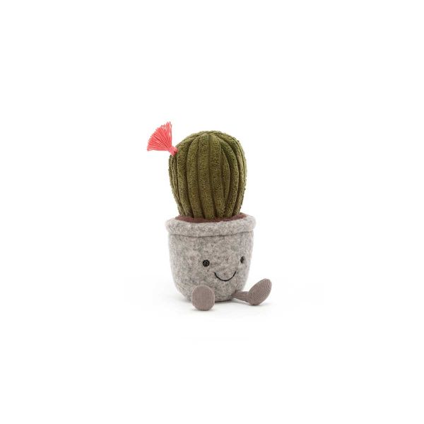 illy Succulent Barrel Cactus